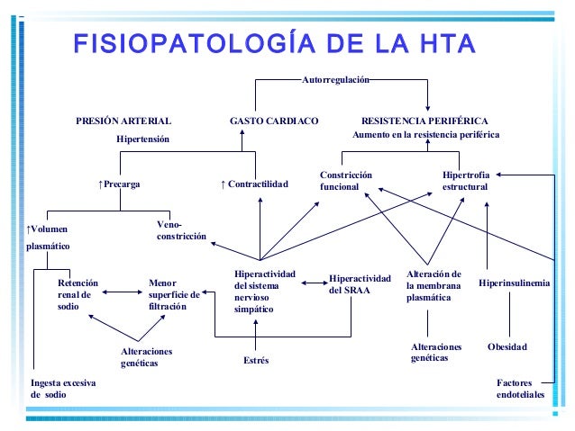 Hipertensión Arterial Hipertensión Arterial
