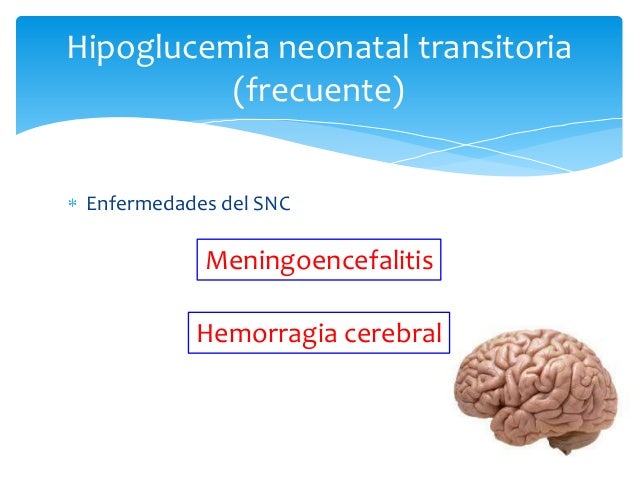 Hipoglucemia neonatal Hipoglucemia neonatal