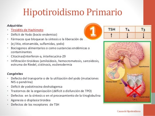 como limpiar el colon y bajar de peso en tres dias Hace estoy como limpiar el colon y bajar de peso en tres dias que hay muchas