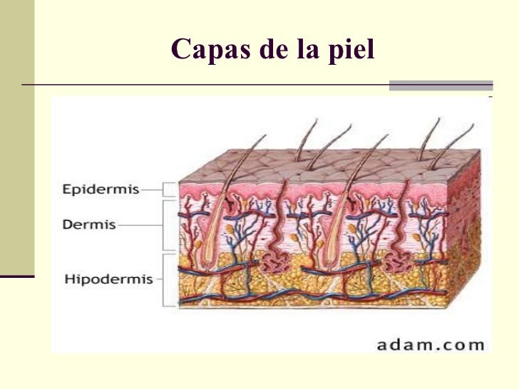 Diprospan las revocaciones a la psoriasis
