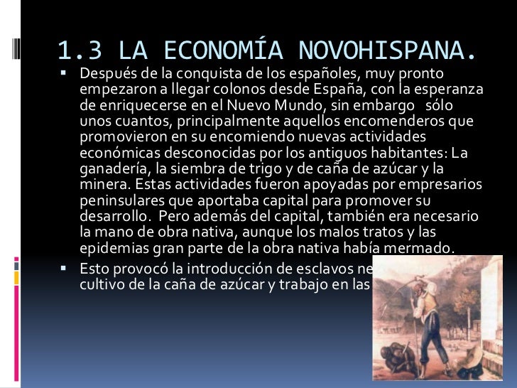 Historia blog defnitivo