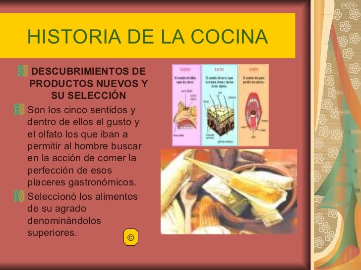 Historia de la cocina[1]