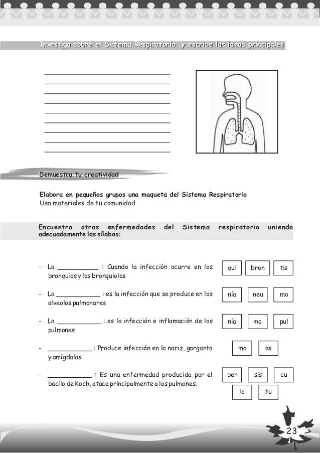 refuerzo y liaci 243 n actividades para trabajar el sistema respiratorio en inicial sistema respiratorio by refuerzo y liaci 243 n actividades para trabajar el sistema respiratorio en inicial sistema respiratorio by