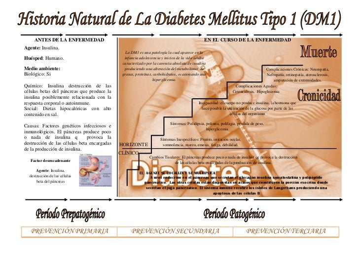Historia natural de la diabetes mellitus tipo 1 Historia natural de la diabetes mellitus tipo 1