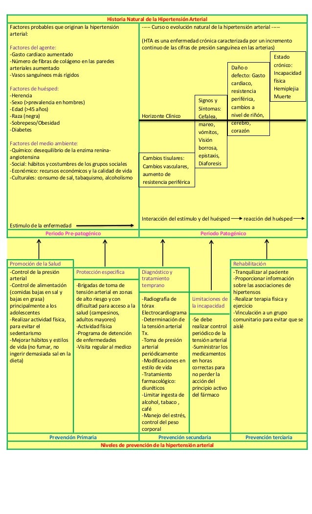 HISTORIA NATURAL DE LA HIPERTENSION ARTERIAL historia natural de la hipertension arterial: