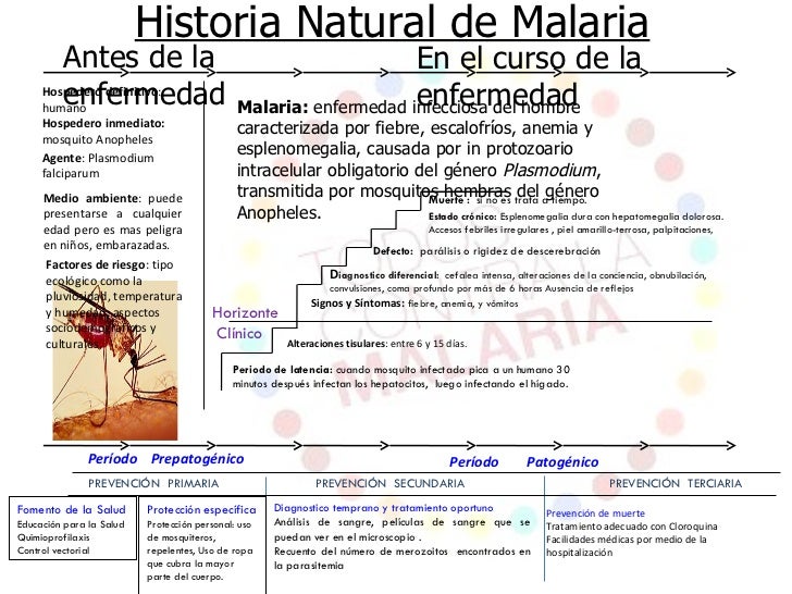 ESQUEMA HISTORIA NATURAL ENFERMEDAD esquema historia natural enfermedad: