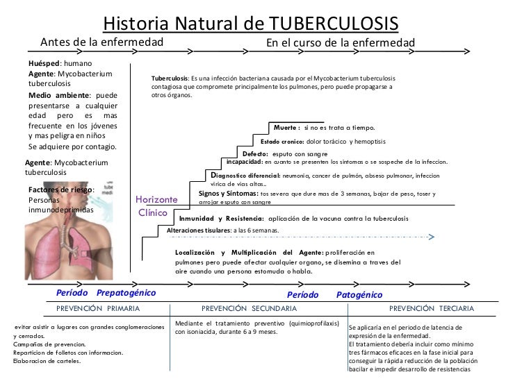ESQUEMA HISTORIA NATURAL ENFERMEDAD esquema historia natural enfermedad: