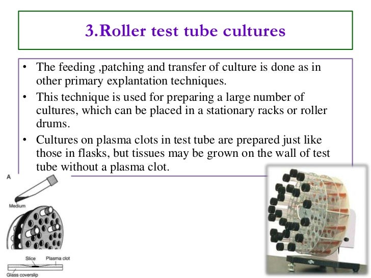 History of animal cell culture, cell final