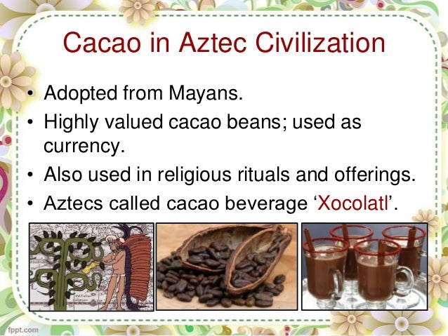 Conclusion for chocolate essay picture