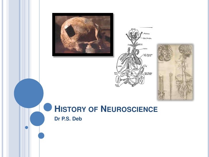 history of neuroscience The history of neuroscience page of the oxford neuroscience website illustrates oxford's history of neuroscience research dating back to the seventeenth century, and promotes the preservation of this heritage. history of neuroscience The history of neuroscience page of the oxford neuroscience website illustrates oxford's history of neuroscience research dating back to the seventeenth century, and promotes the preservation of this heritage.