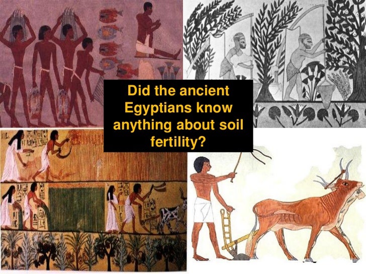 History soil fertility