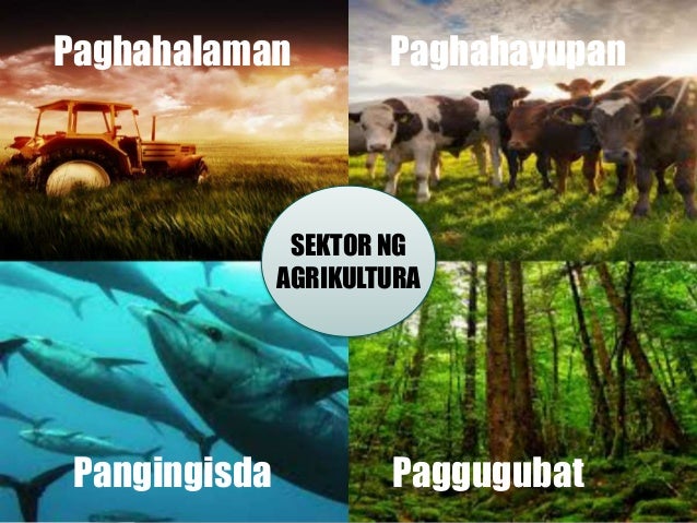 AP Aralin 2 (Sektor ng Agrikultura) Fourth Quarter