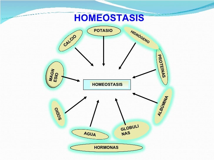 online graduate publications in education twist of fate legal professional in philadelphia