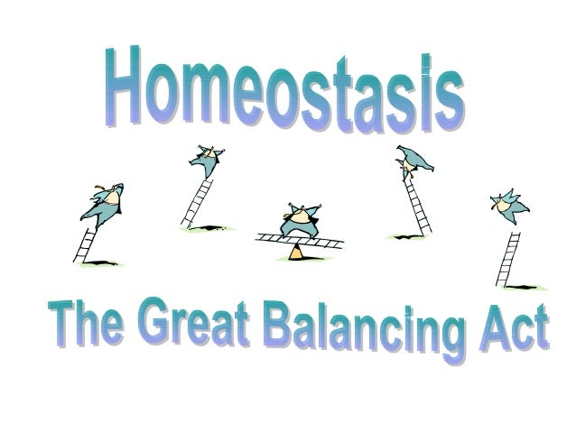 Biology Homeostasis