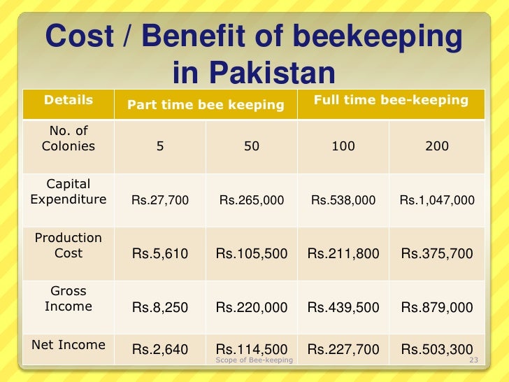 Automatic car wash service station picture