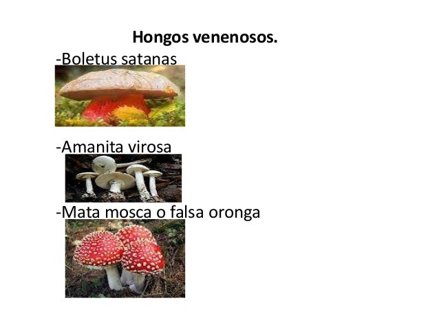 El hongo sobre las uñas no terminado de curar