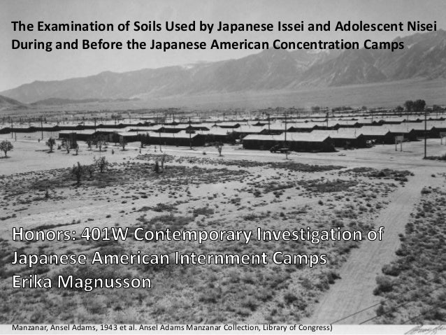 Japanese internment camps: inequality in the land of equality