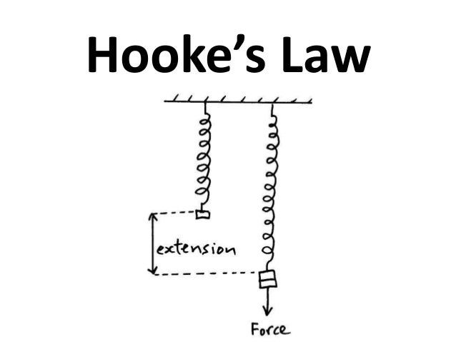 hookes law experiment report Elastic forces and hooke’s law 1 objective as you conduct this experiment it is important to observe the following: 1. hookes law experiment report Elastic forces and hooke’s law 1 objective as you conduct this experiment it is important to observe the following: 1.