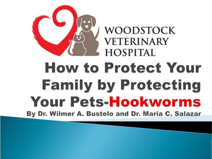 Woodstock Vet ClinicHookworms