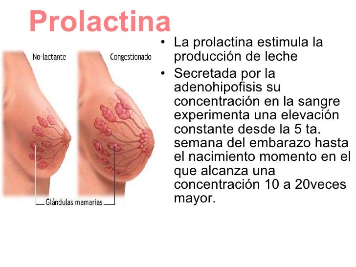 Al plazo temprano del embarazo debe estar enfermo los riñones