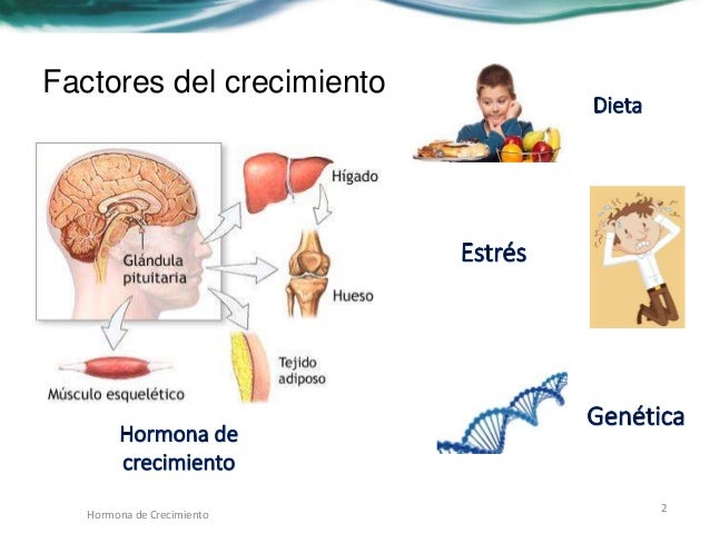 Hormona del crecimiento