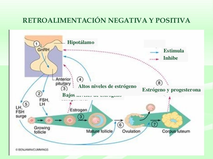 external image slide-49-728.jpg?1207084429