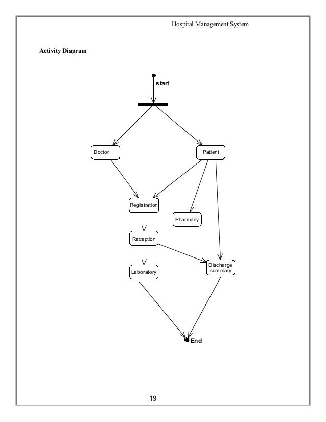 Immune System: A Professionally-Written Essay Sample