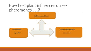 Host Plant Inflenses On Sex Pheromone PPTX