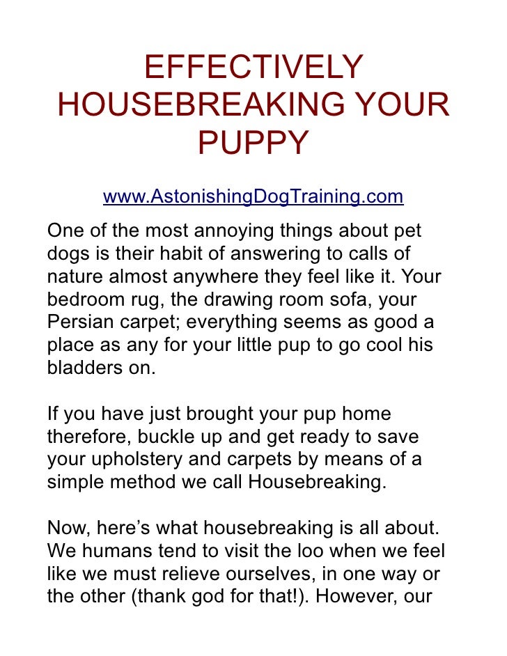 housebreaking a housebreaking a puppy housebreaking a housebreaking a puppy