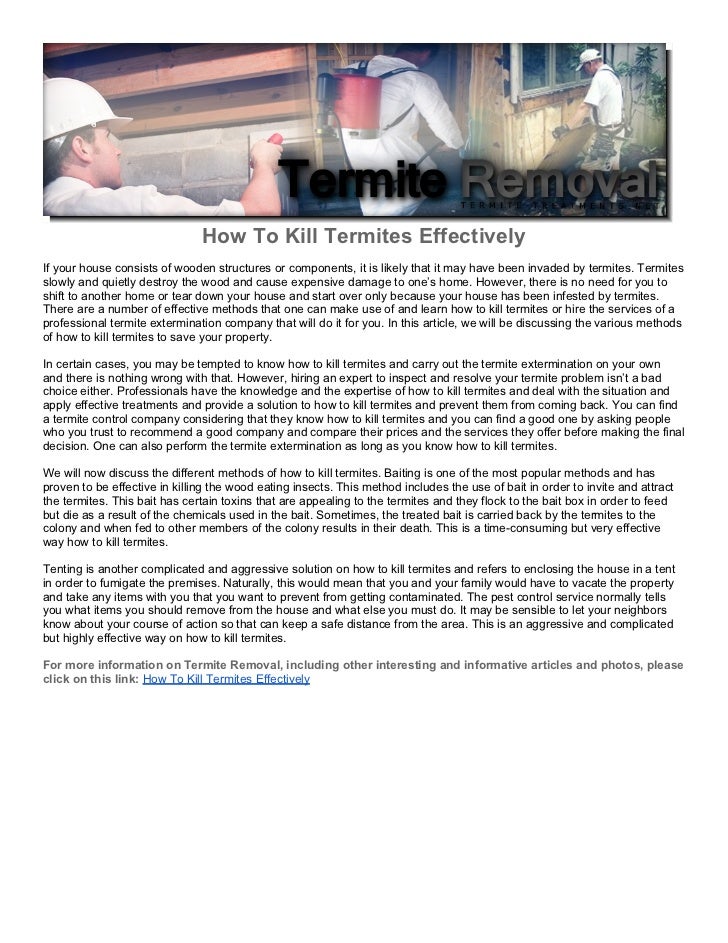 How To Kill Termites Effectively