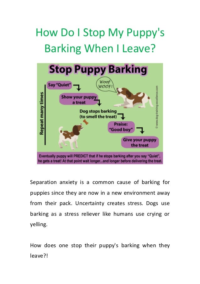 how do i a to stop barking how do i stop my puppys barking when i leave how do i a to stop barking how do i stop my puppys barking when i leave