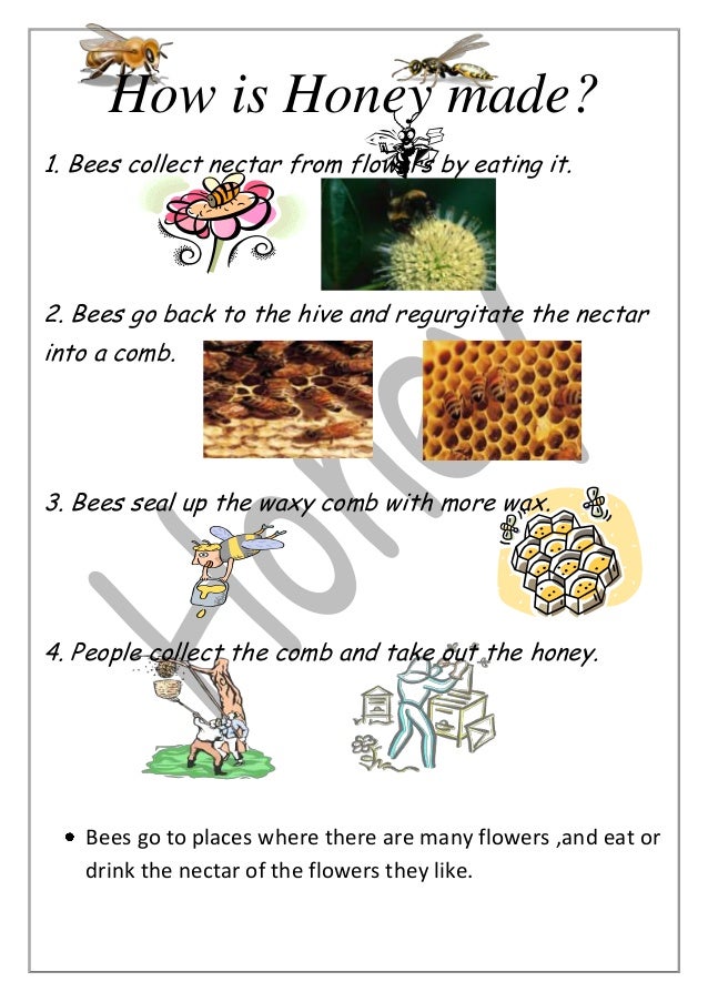 how is how is honey made how is how is honey made