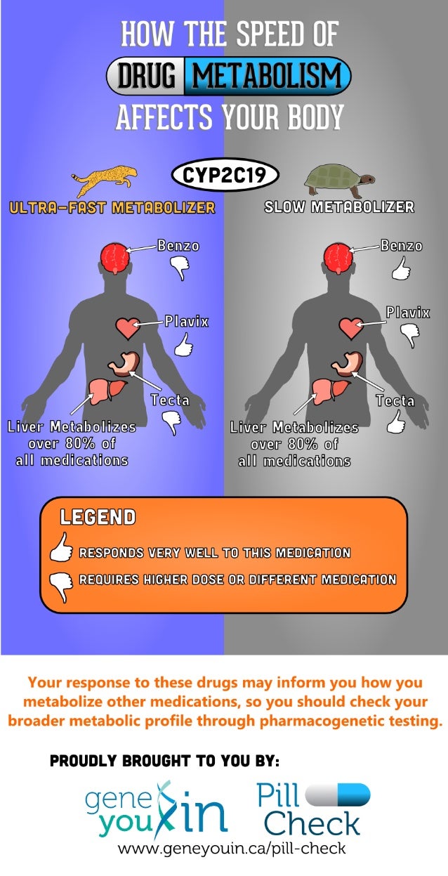 essay on how drugs affect the body essay on how drugs affect the body