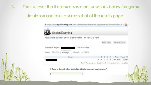 Very nice work, photo of what the gizmos