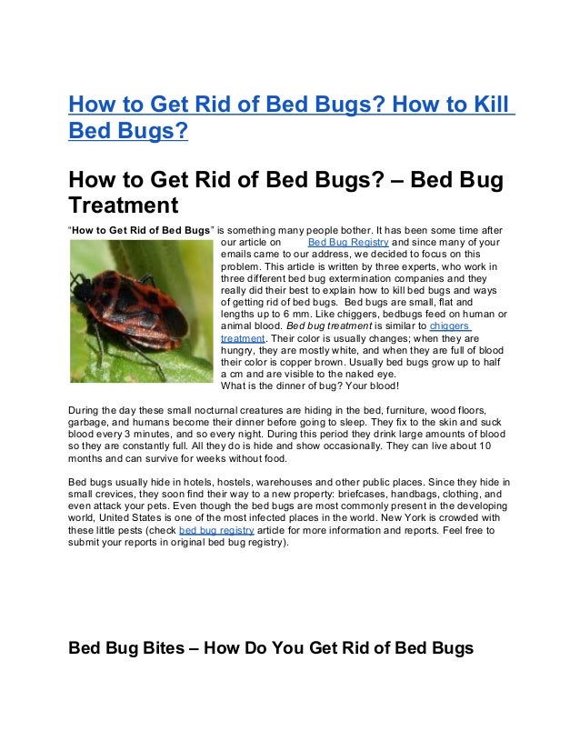 How Can You Get Rid Of Bed Bugs how to get rid of bed bugs how to kill bed bugs How Can You Get Rid Of Bed Bugs how to get rid of bed bugs how to kill bed bugs