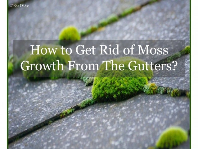 how to get rid of moss growth from the gutters how to get rid of moss growth from the gutters