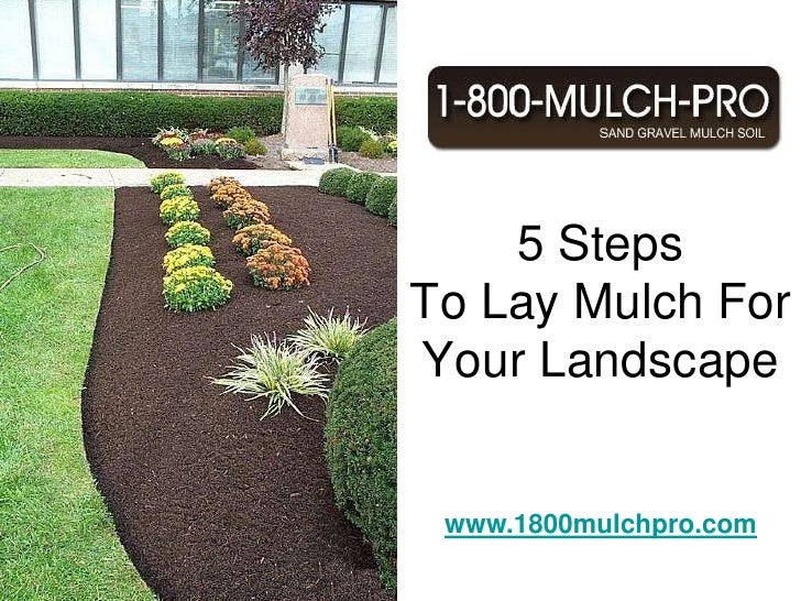 how to your to lay how to lay mulch for your landscape how to your to lay how to lay mulch for your landscape