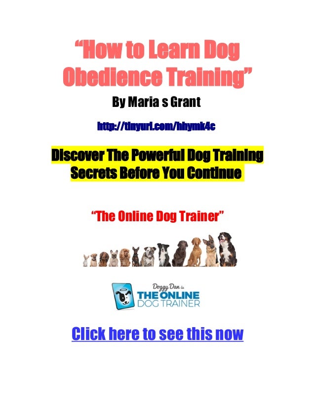 how to obedience a how to learn obedience how to obedience a how to learn obedience