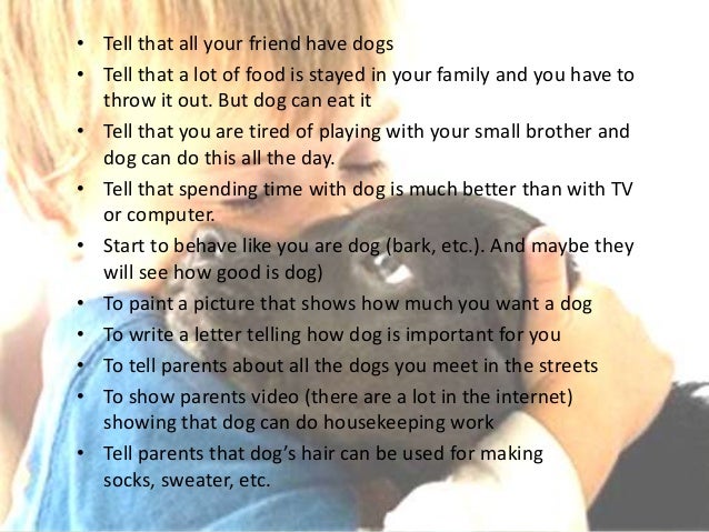 My Pet Animal Essay - My Pet Dog English Essay for kids