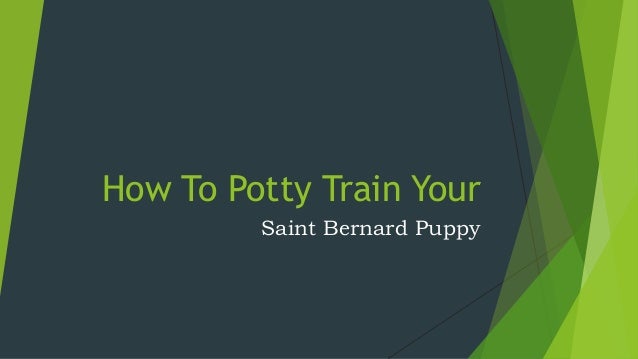 how to re potty your how to potty your bernard how to re potty your how to potty your bernard