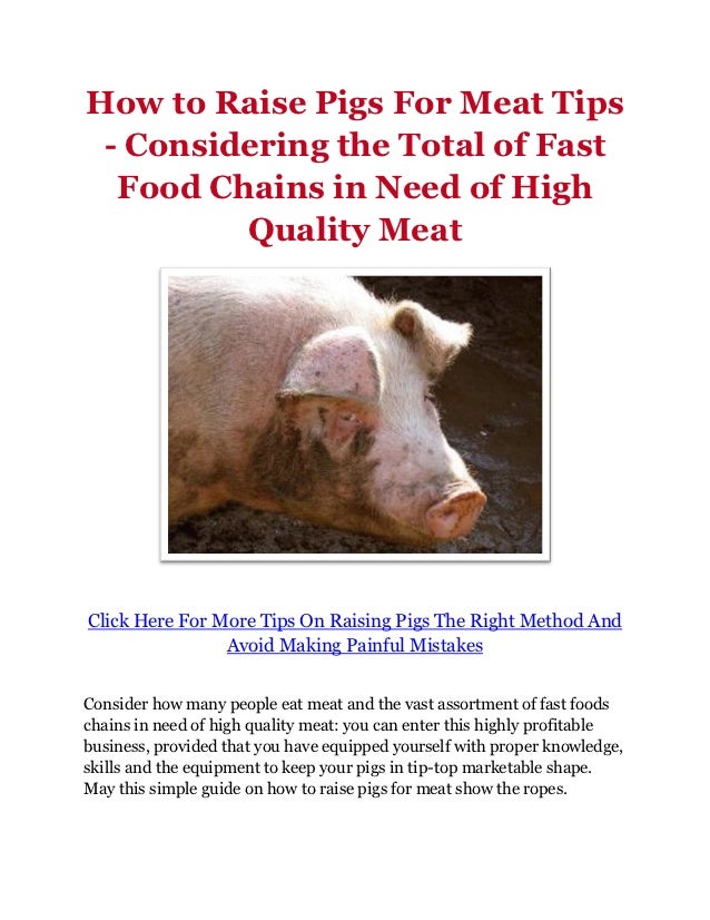 How to Raise Pigs For Meat Tips Considering the Total of Fast Food