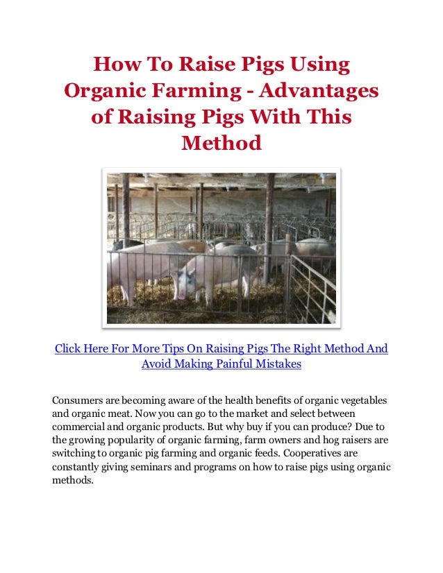 How To Raise Pigs Using Organic Farming Advantages of Raising Pigs