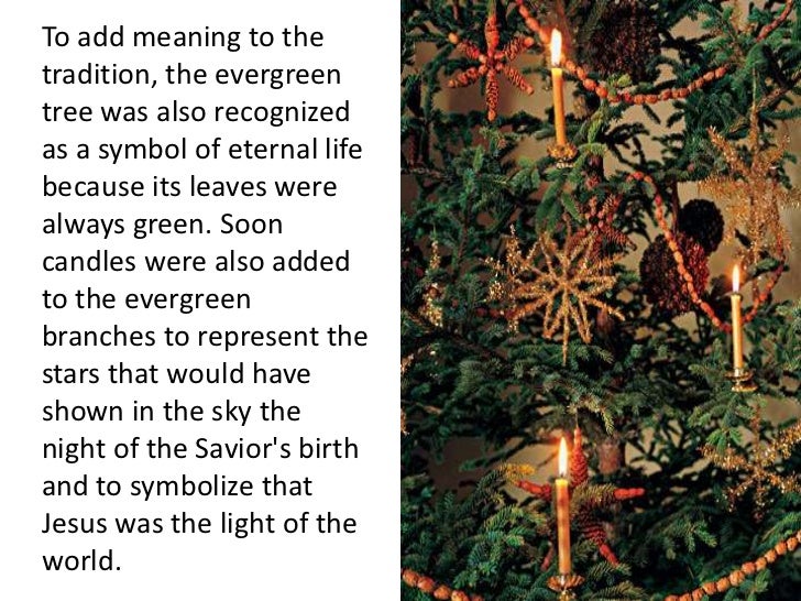 how to set up a christmas tree how to set up a christmas tree