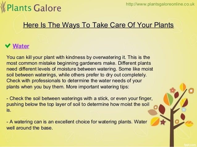 how to take care of plants plants galore online how to take care of plants plants galore online