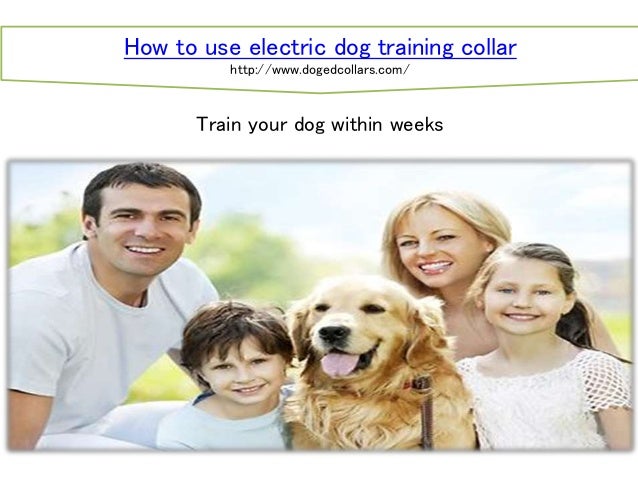 how to use collars for dogs how to use electric collar how to use collars for dogs how to use electric collar