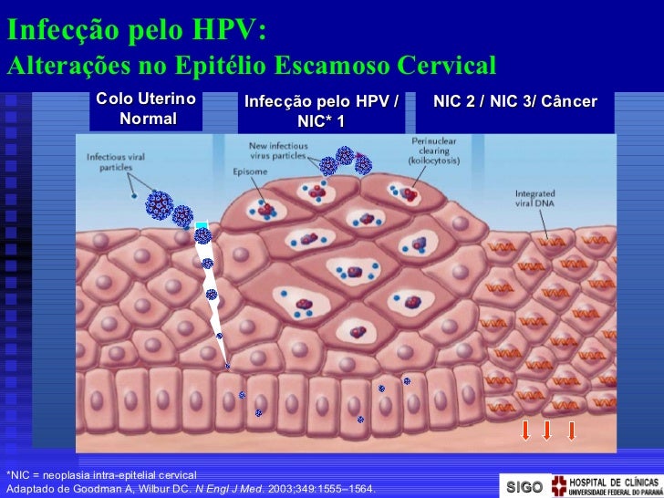 Cervical Hpv