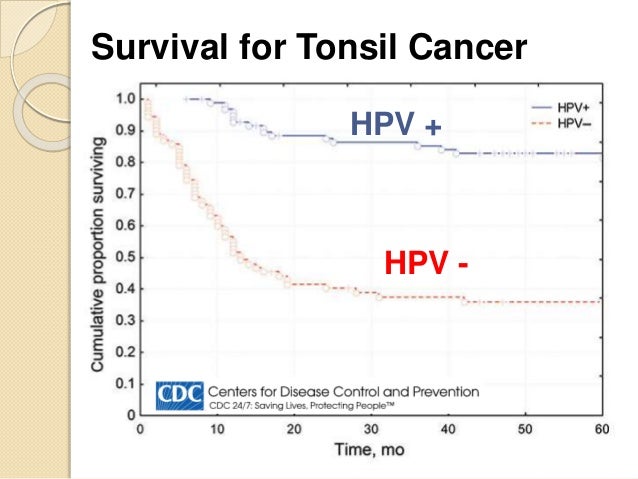 Womb most cancers assist cervical cancer leading cause