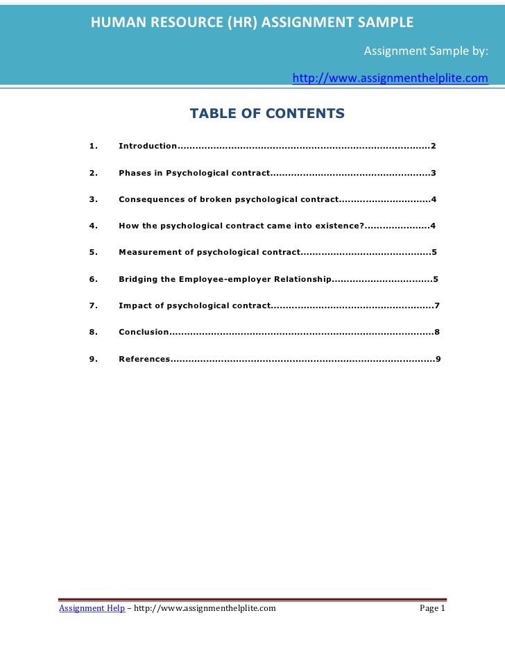sample of a professional portfolio
