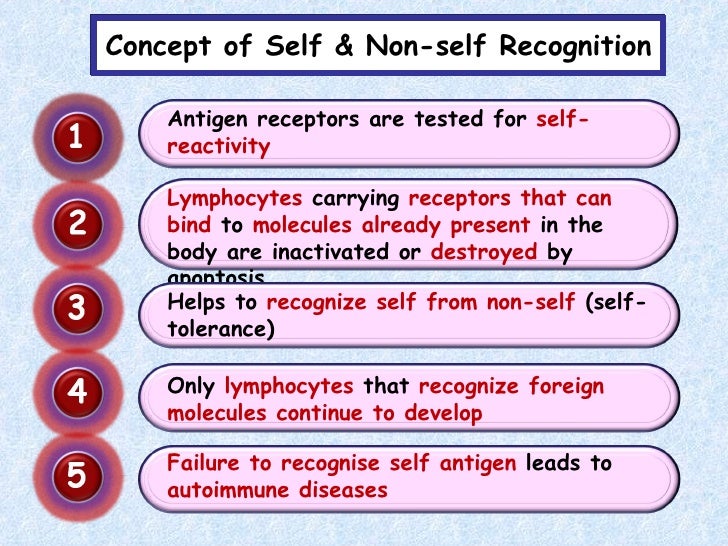 Hr 4 development of immunity