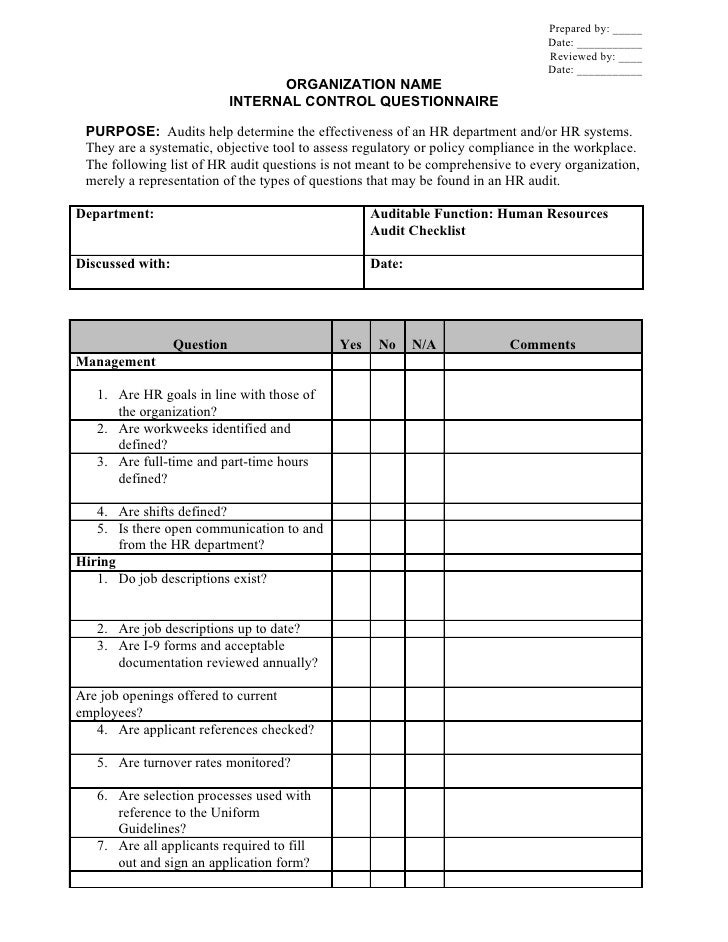 internal audit form template